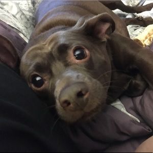 Meet your Posher, Marguerite